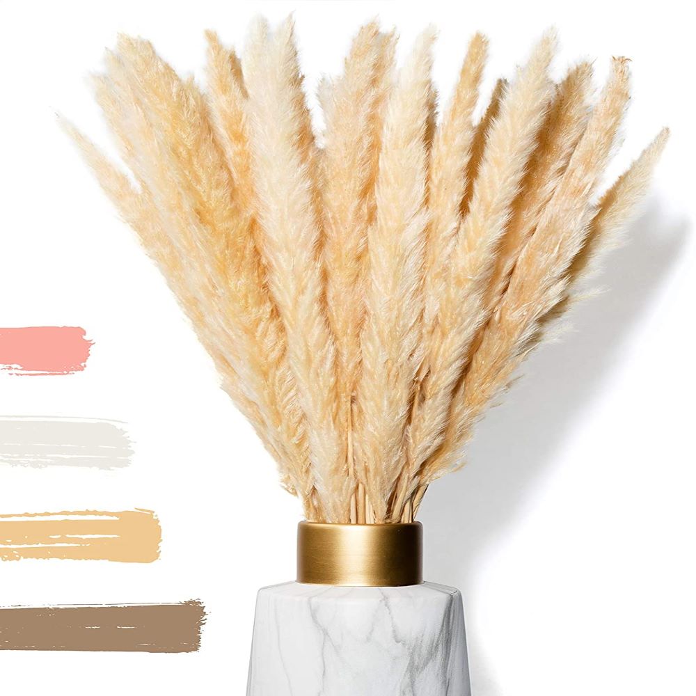 WHITE LUXURY - Pampasgras klein als Trockenblumen EIN Hingucker